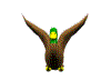 canard