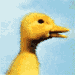 Saturnin