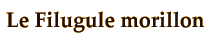 titre colvert